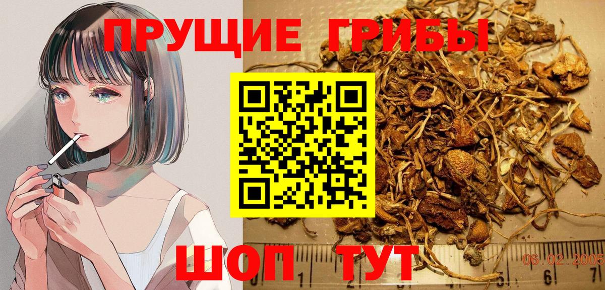Галлюциногенные грибы Magic Shrooms Новокуйбышевск